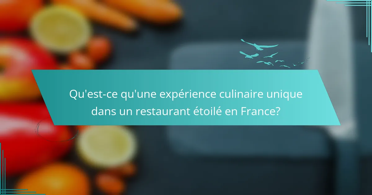 Qu'est-ce qu'une expérience culinaire unique dans un restaurant étoilé en France?
